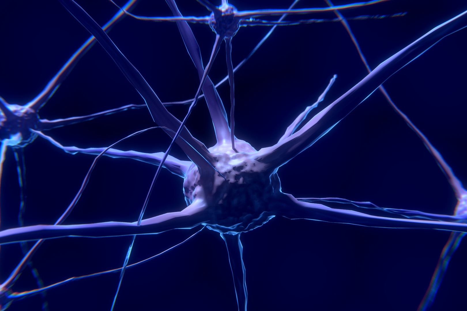 neuron
